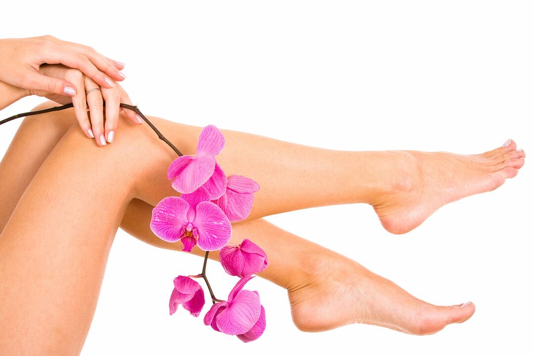 Female legs are not affected by varicose veins